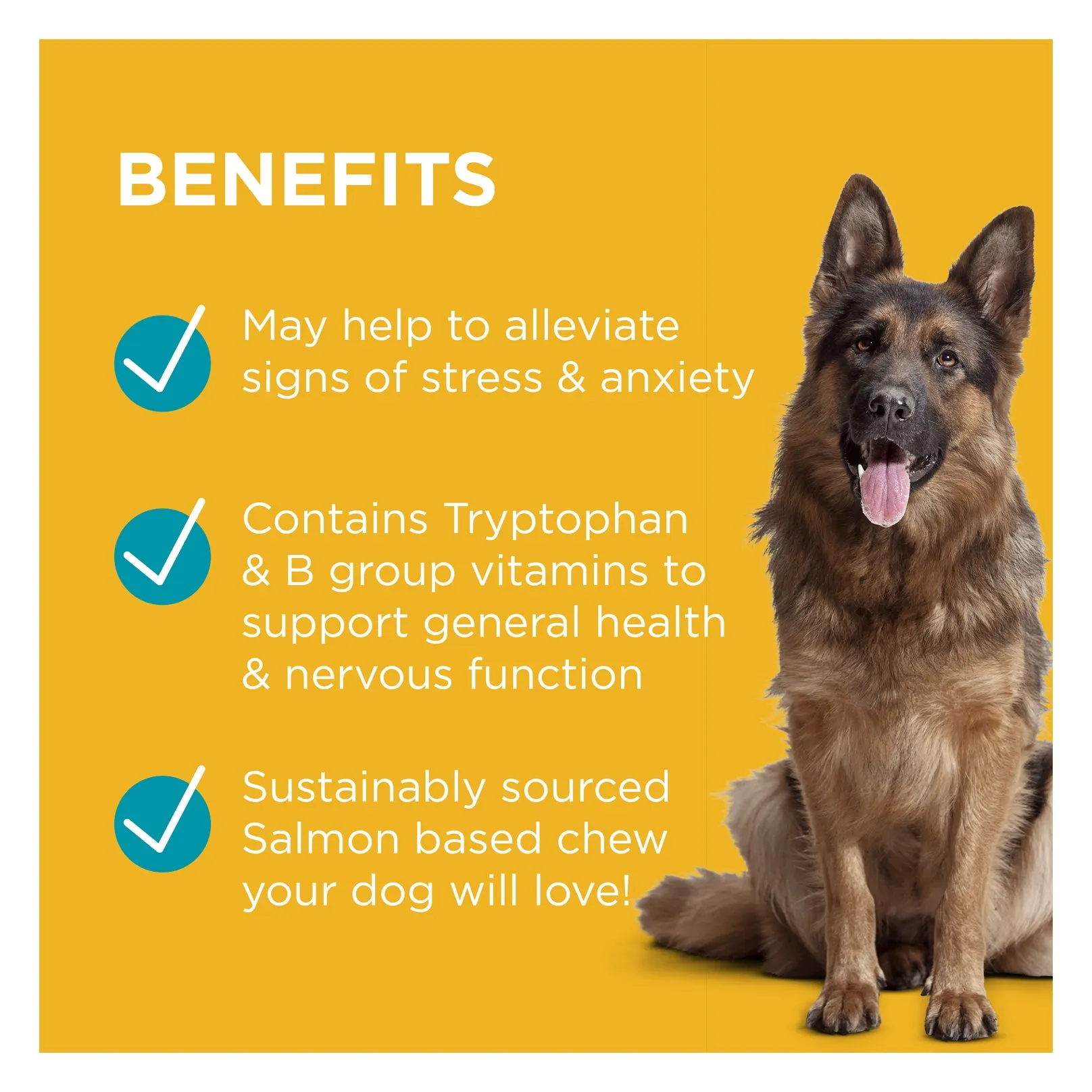 PAW Complete Calm Chews for Dogs 300g