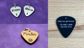 Personalized Guitar Pick Pet tag, Musician Pet Tag, Fender Pet Tag, Gibson Pet Tag