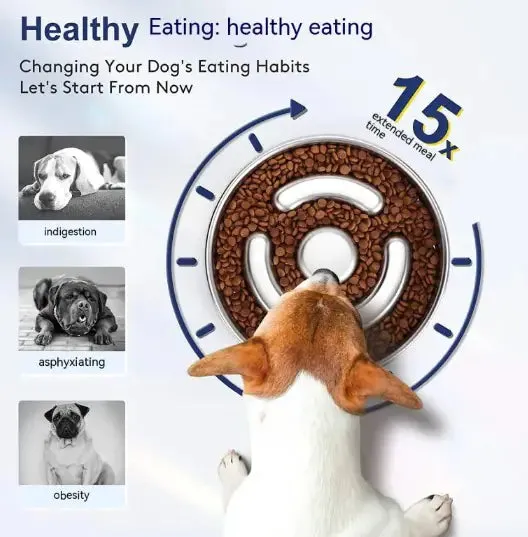 Pet Slow Feeder Bowl