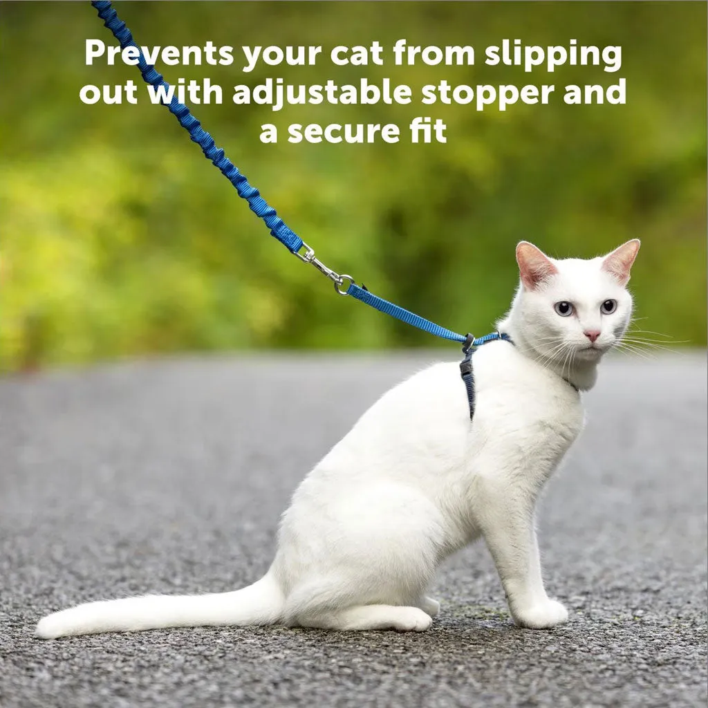 PetSafe Come with Me Kitty Nylon Harness & Bungee Leash for Cats, Lilac/Deep Purple