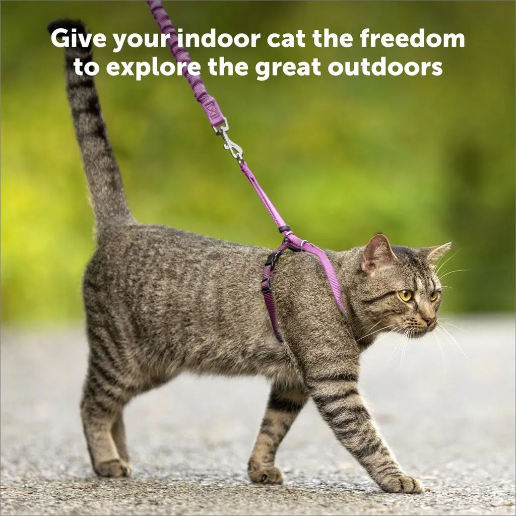 PetSafe Come with Me Kitty Nylon Harness & Bungee Leash for Cats, Lilac/Deep Purple