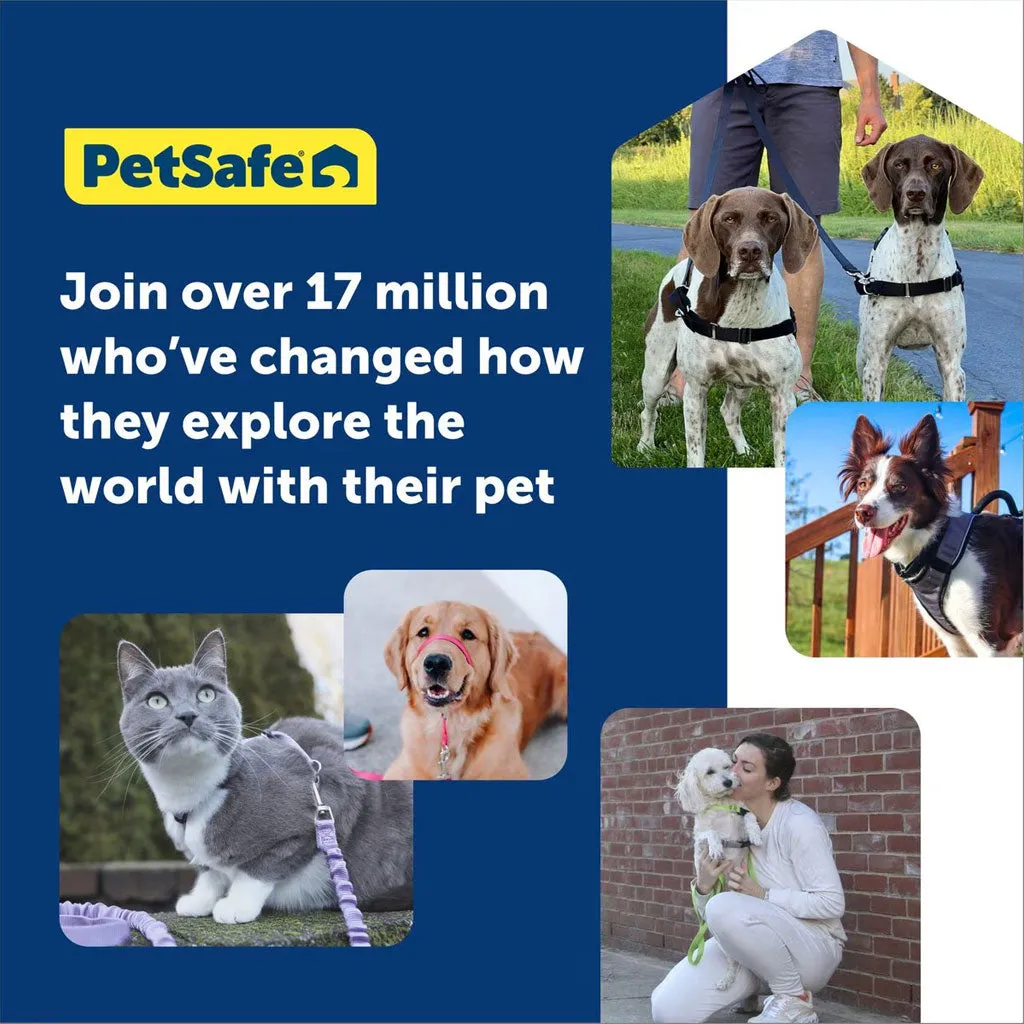 PetSafe Come with Me Kitty Nylon Harness & Bungee Leash for Cats, Lilac/Deep Purple