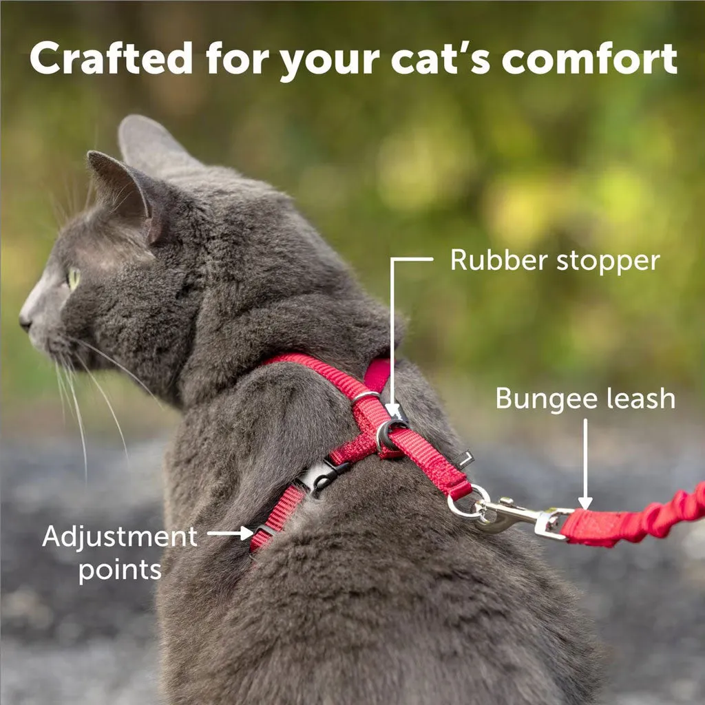 PetSafe Come with Me Kitty Nylon Harness & Bungee Leash for Cats, Lilac/Deep Purple