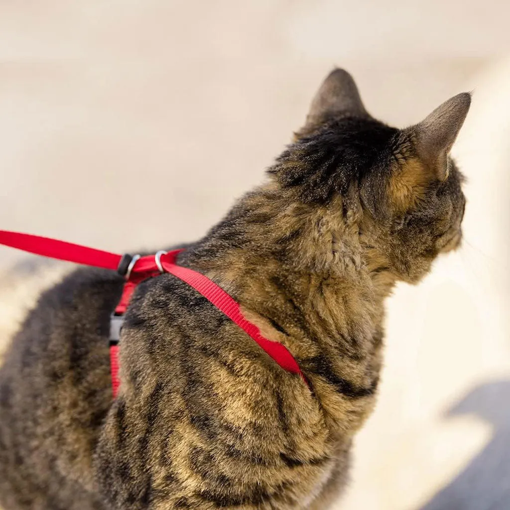 PetSafe Come with Me Kitty Nylon Harness & Bungee Leash for Cats, Lilac/Deep Purple