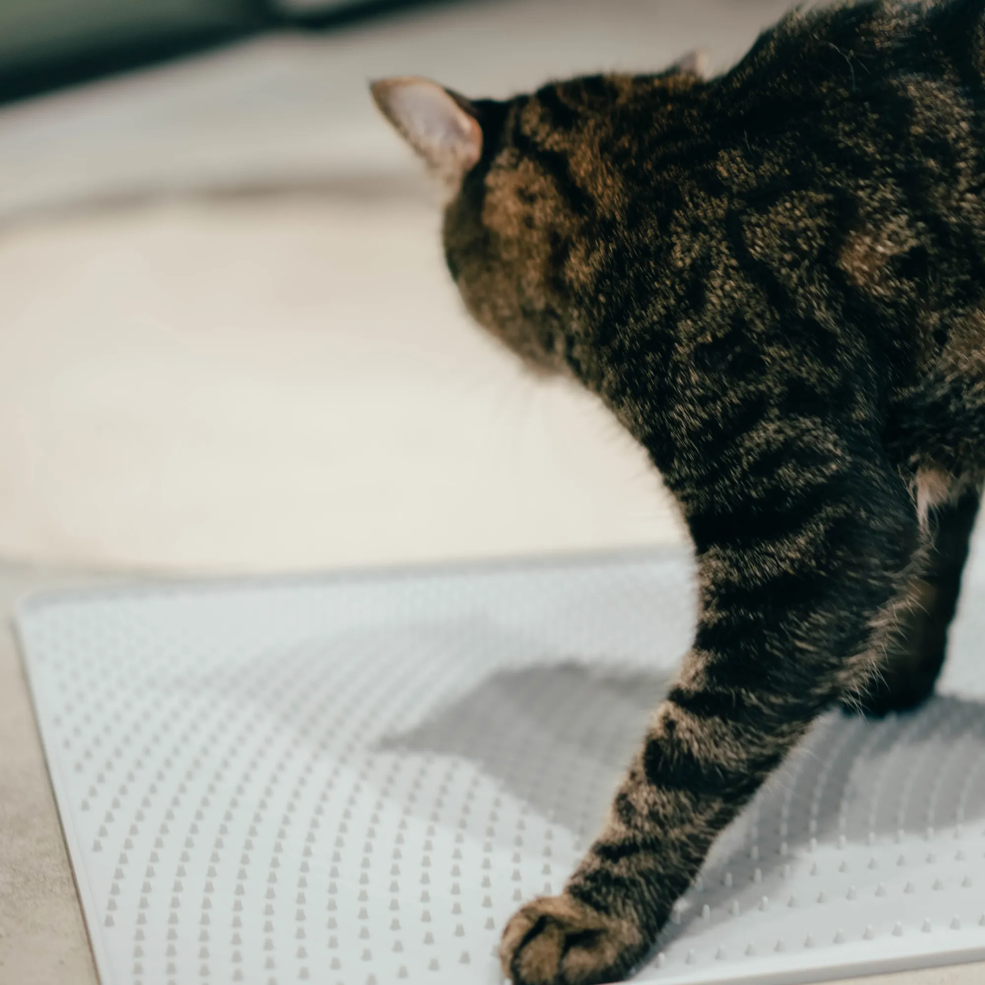 PIDAN Cat Litter Mat Grey
