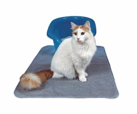 Pioneer Pet Ultimate Litter Mat (36x24)