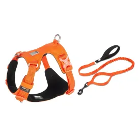 Premium Lightweight Cordura Harness & Leash Set