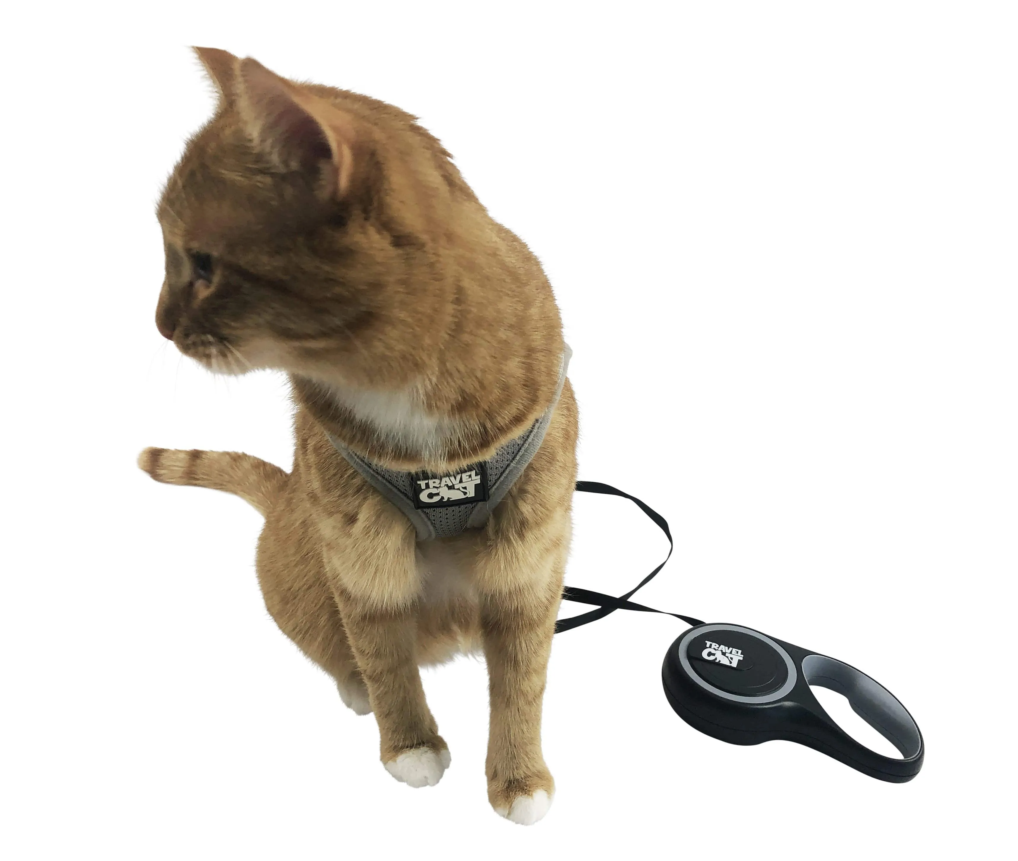 "The Wind in My Whiskers" Bundle: Harness, Leash, and Retractable Leash