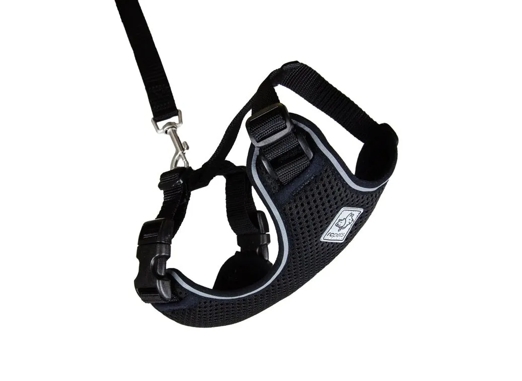 RC Pets Adventure Kitty Harness - Black