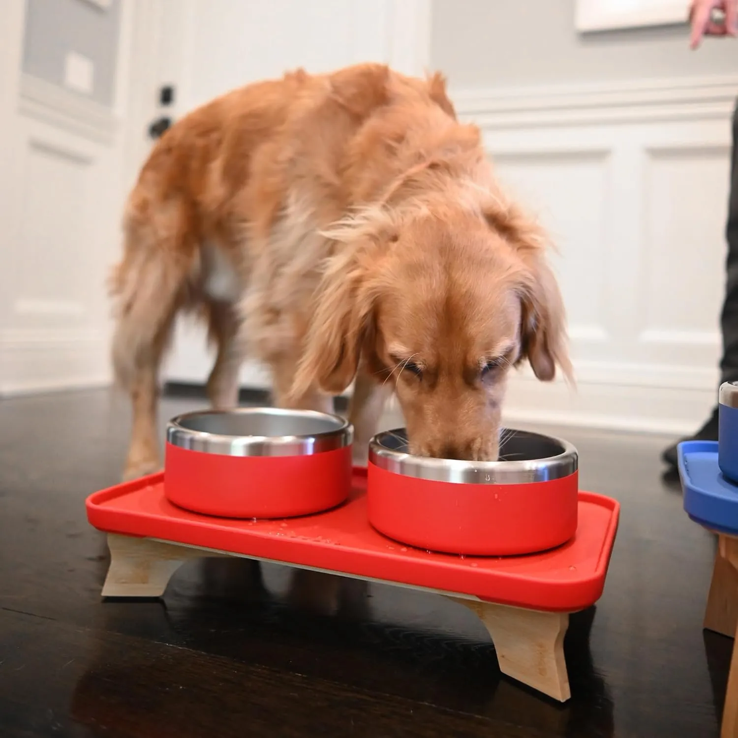 Trot Pets Elevated Dog Bowls | Stainless Steel Raised Bowl Set for Small, Medium, or Large Dogs | Non-Slip Food and Water Slow Feeder | Durable, BPA-Free, Anti-Skid, Dishwasher Safe (Sky, Medium)