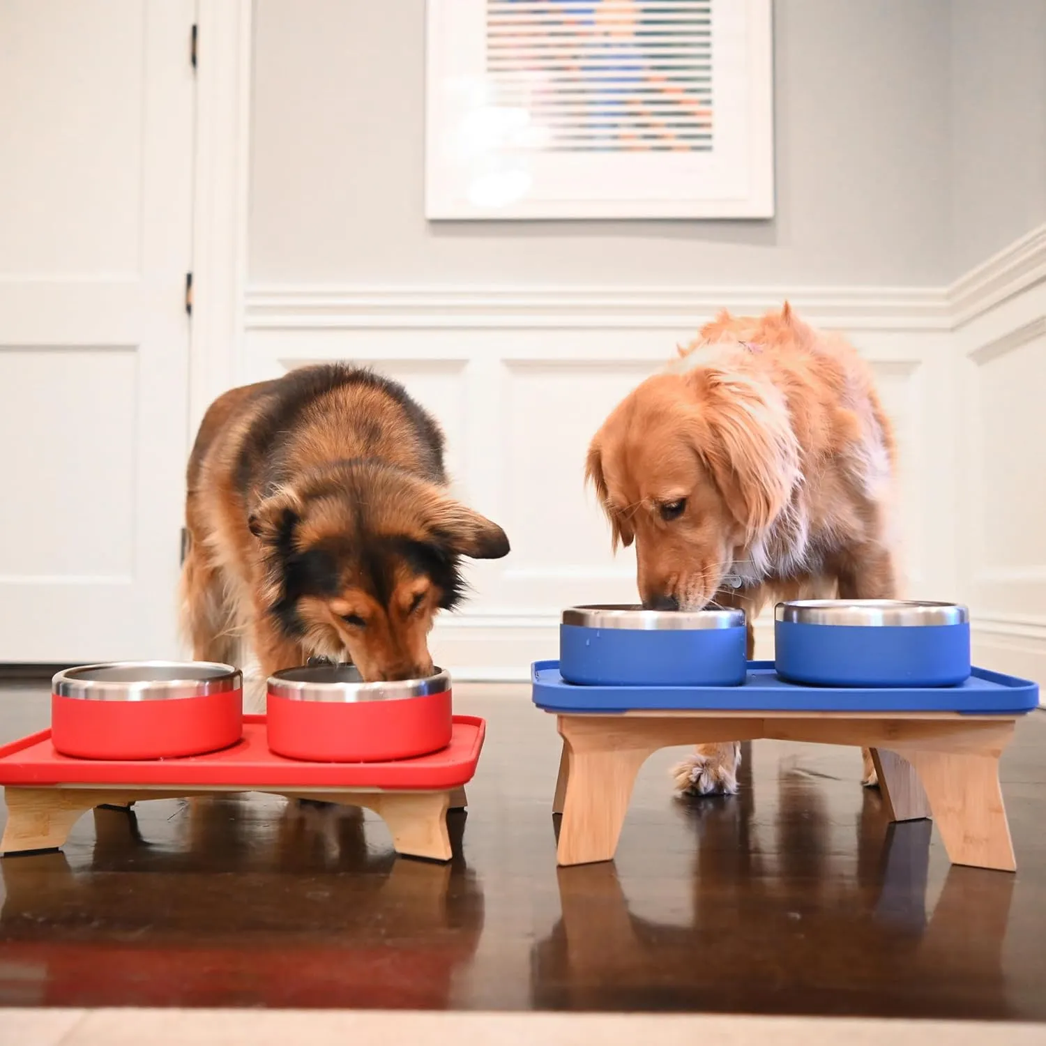 Trot Pets Elevated Dog Bowls | Stainless Steel Raised Bowl Set for Small, Medium, or Large Dogs | Non-Slip Food and Water Slow Feeder | Durable, BPA-Free, Anti-Skid, Dishwasher Safe (Sky, Medium)