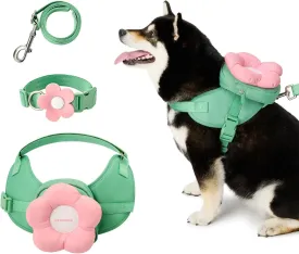 VETRESKA Flora Dog Harness, Leash and Collar Set, No Pull Dog Vest Harness for Walking and Training, Adjustable, Easy Control and Soft Padded Pet Harness and Backpack for Small Medium Large Dogs, XS
