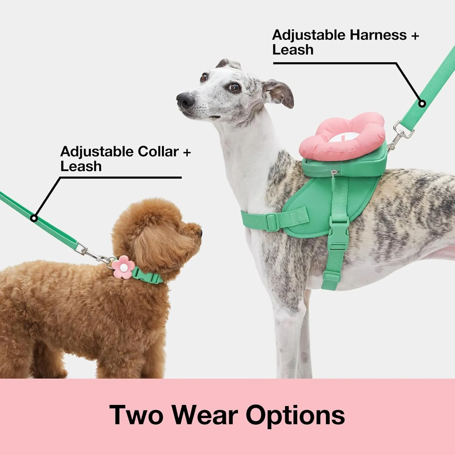 VETRESKA Flora Dog Harness, Leash and Collar Set, No Pull Dog Vest Harness for Walking and Training, Adjustable, Easy Control and Soft Padded Pet Harness and Backpack for Small Medium Large Dogs, XS