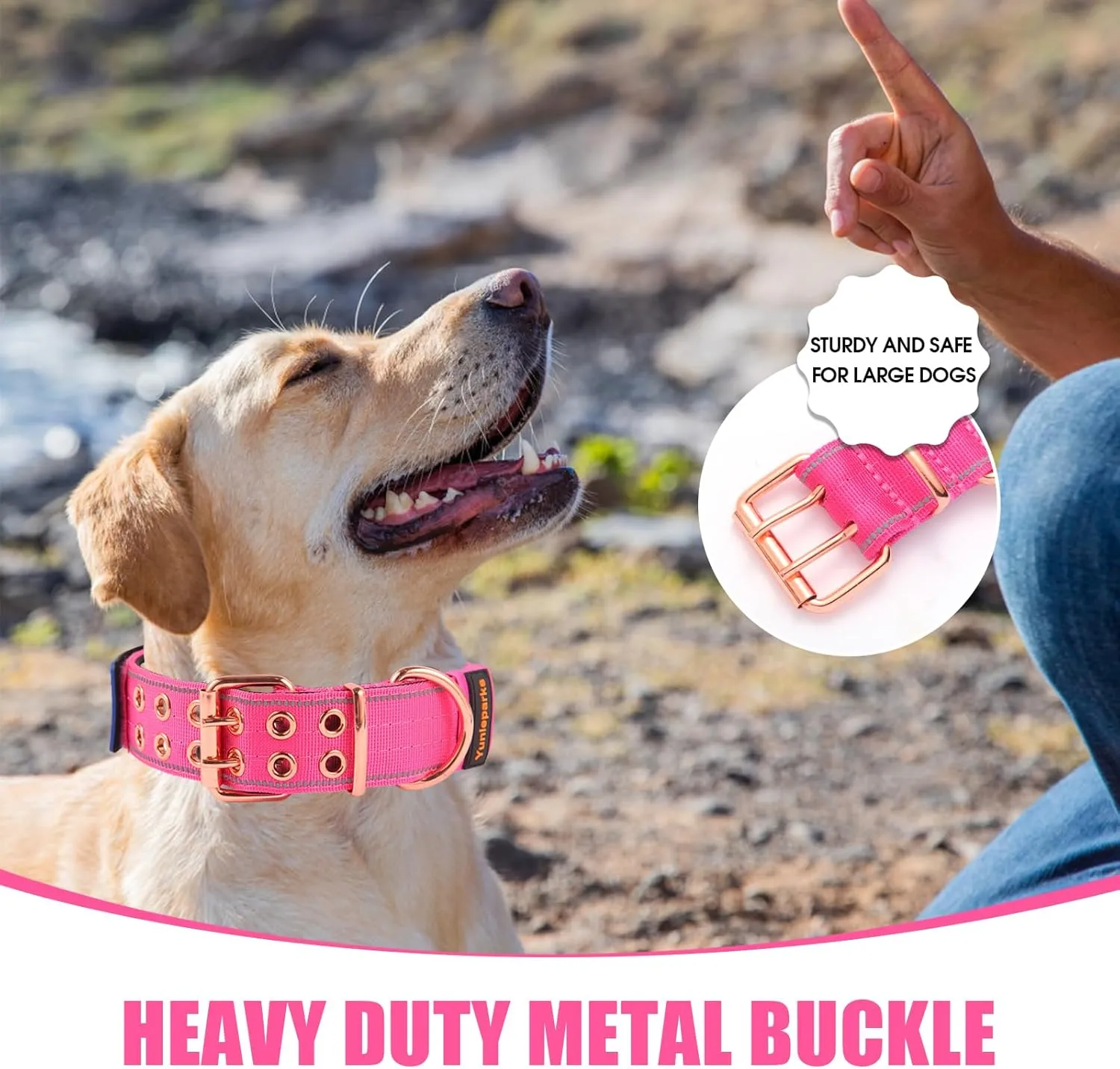 ,,(,XL )